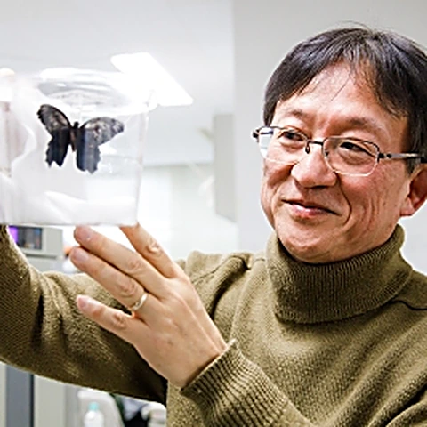 藤原晴彦
