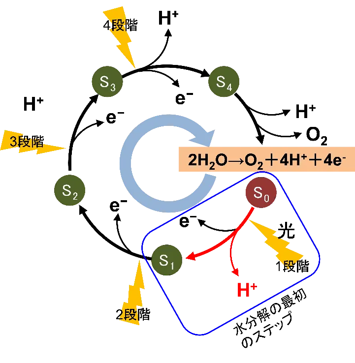 図1　水分解反応の概要