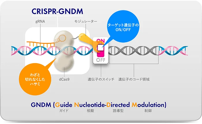 モダリス社が開発したCRISPR-GNDM 技術